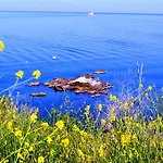 Appartement Mari-christi Poros (Kefalonia)