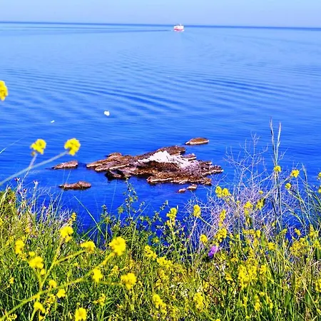 شقة Mari-christi بوروس